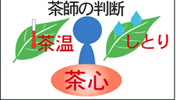 ���S�}-2