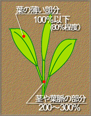 �ܐ����C���X�g