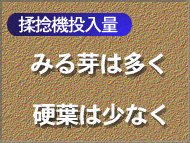 �����C���[�W