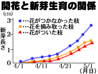 JԂƐV萶̊֌W