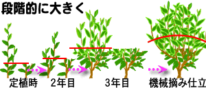 �d���Ẵv���Z�X