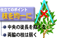 �}���ψ��