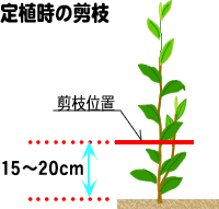 ��A���̙��}