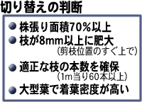 �؂�ւ��̔��f