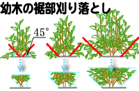 �����}�̏���