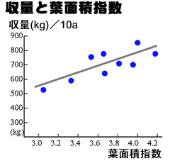 tʐσOt