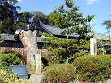 御手植え松